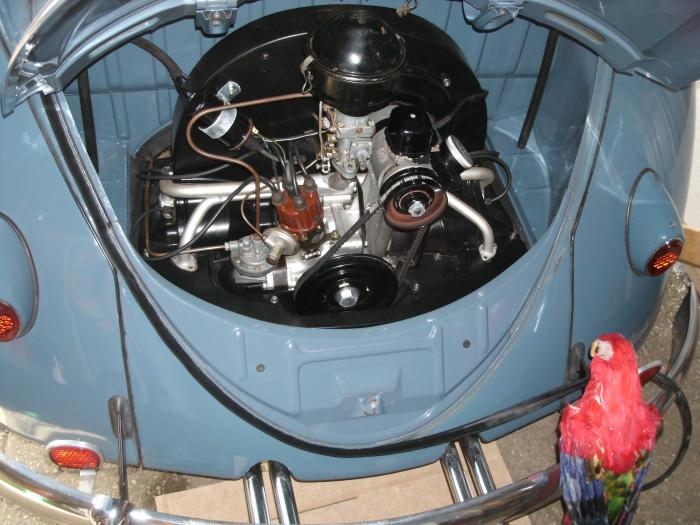 Trubka paliva čerpadlo/karburátor - Typ 1/2/14 (1952 » 60)