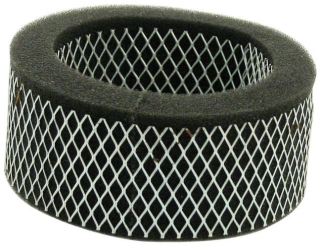 Vložka filtru vzduchu - Typ 1 motor (#02152#02148)