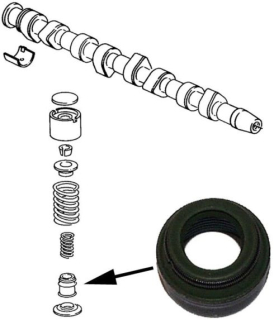 Těsnění dříku ventilu - Typ 1/25/Golf/Jetta (1974 » 03)
