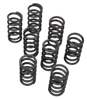 Pružiny ventilů singl/kit - Typ 1/3/CT/CZ motory (race)