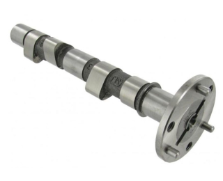 Vačka motoru Okrasa/STD - Typ 1 motor (25+30HP)